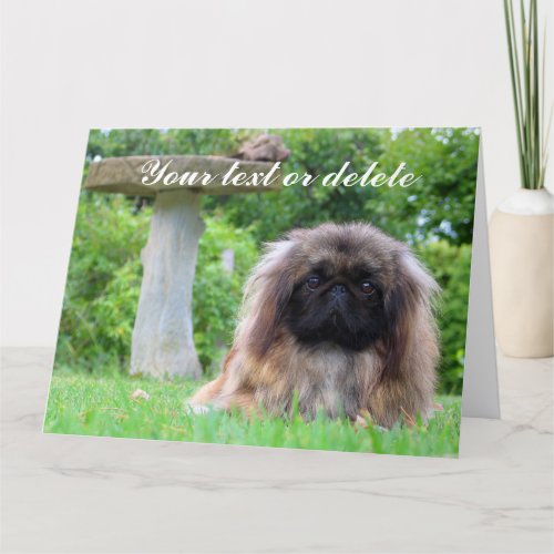 Pekingese dog custom greeting card