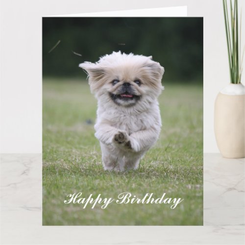 Pekingese dog cute custom birthday card