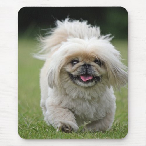 Pekingese dog cute photo mousepad