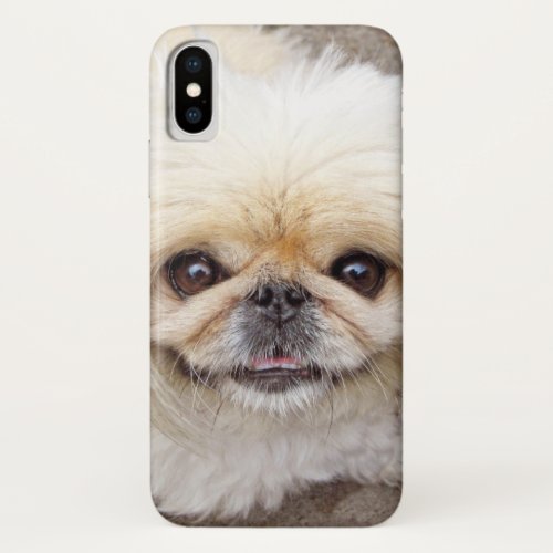 Pekingese Dog Face iPhone XS Case