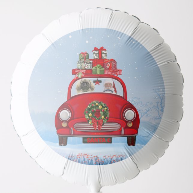 Pekingese Dog In Car With Santa Claus  Balloon (Front)