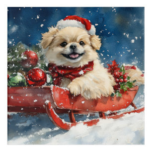 Pekingese Dog in Sledge Let it Snow Christmas Acrylic Print