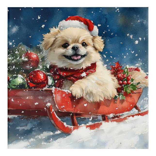 Pekingese Dog in Sledge Let it Snow Christmas Acrylic Print (Front)