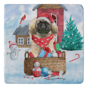 Pekingese Dog In snow Christmas Dog House Throw Pi Trivet