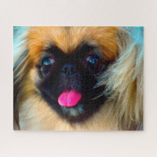 Pekingese Dog. Jigsaw Puzzle