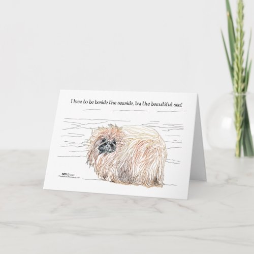 Pekingese Dog Notes