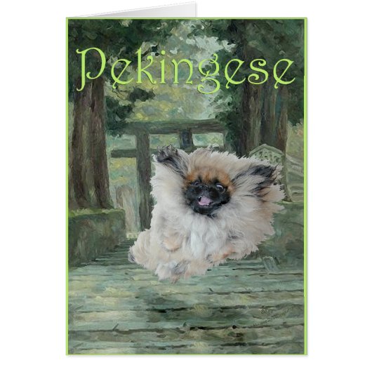 Pekingese Dog Oriental Gate Cards (Front)