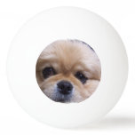 Pekingese Dog Ping Pong Ball