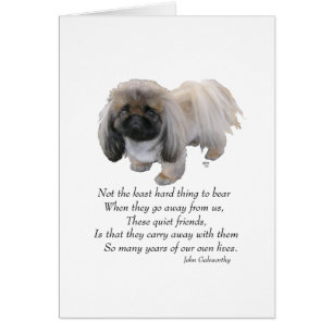 Pekingese Dog Rainbow Bridge Cards