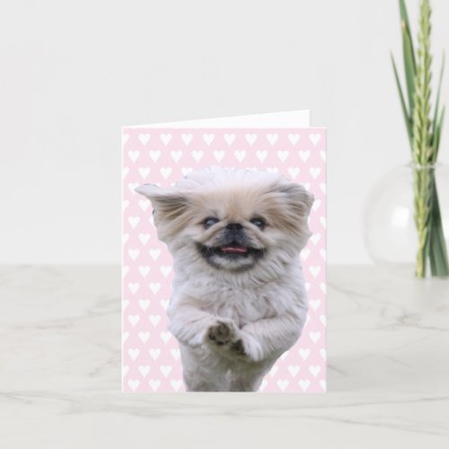 Pekingese dog running cute blank note card