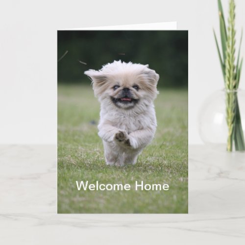 Pekingese dog running welcome home card