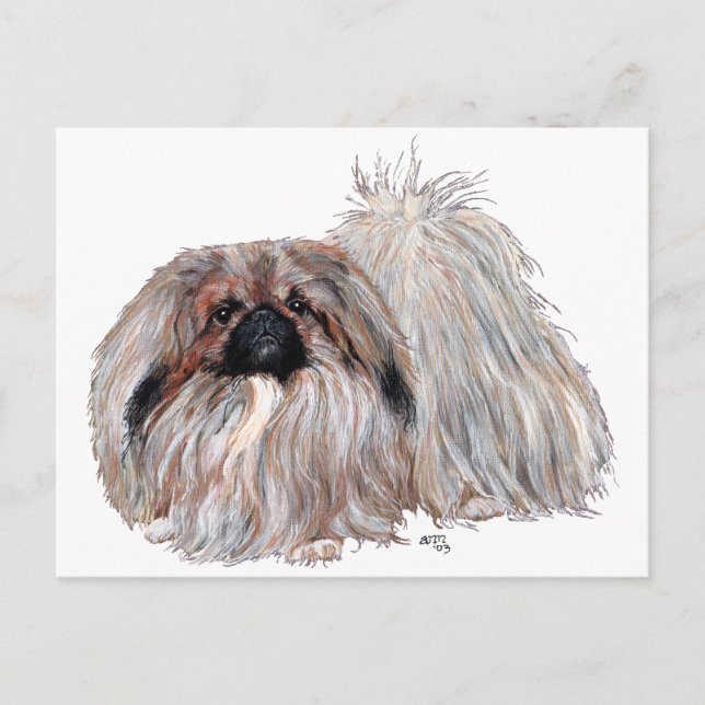 Pekingese Dog Standing Postcard (Front)