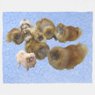 Pekingese Dogs on Blue Fleece Blanket