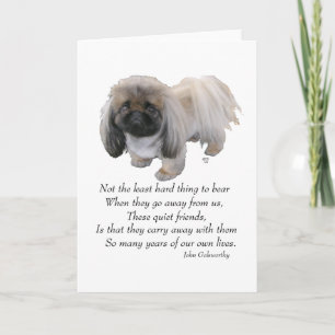 Pekingese Greeting Card