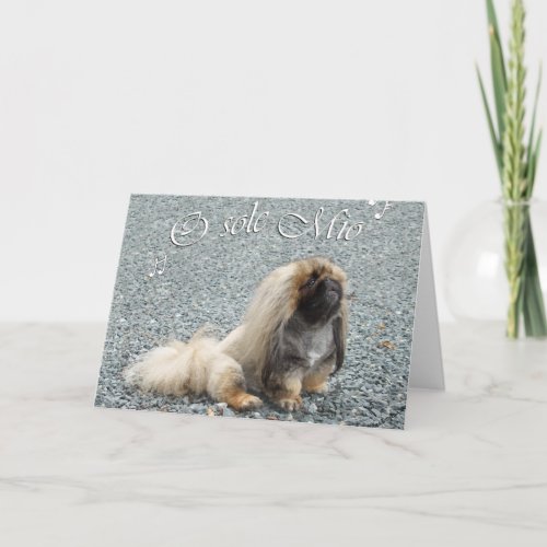 Pekingese Greeting Card