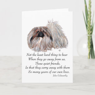 Pekingese Greeting Card