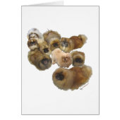 Pekingese Group (Front)