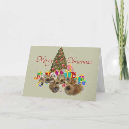 Pekingese Group Celebrates Christmas Holiday Card