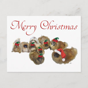 Pekingese Group Celebrates Christmas Holiday Postcard