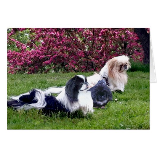 Pekingese Group in Springtime Cards (Front Horizontal)