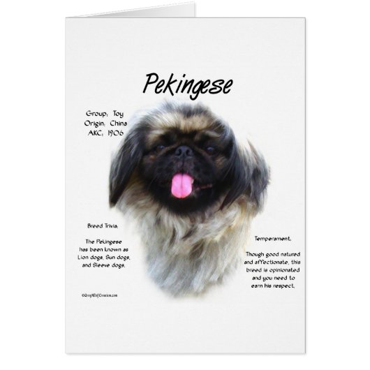 Pekingese History Design (Front)