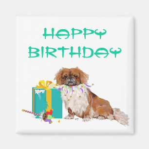Pekingese in a Party Mood Magnet