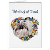 Pekingese in Pansies (Front)