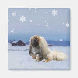 Pekingese in Winter Magnet
