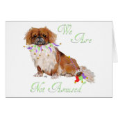 Pekingese is Not Amused (Front Horizontal)