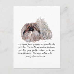 Pekingese Keepsake - MALE Postcard