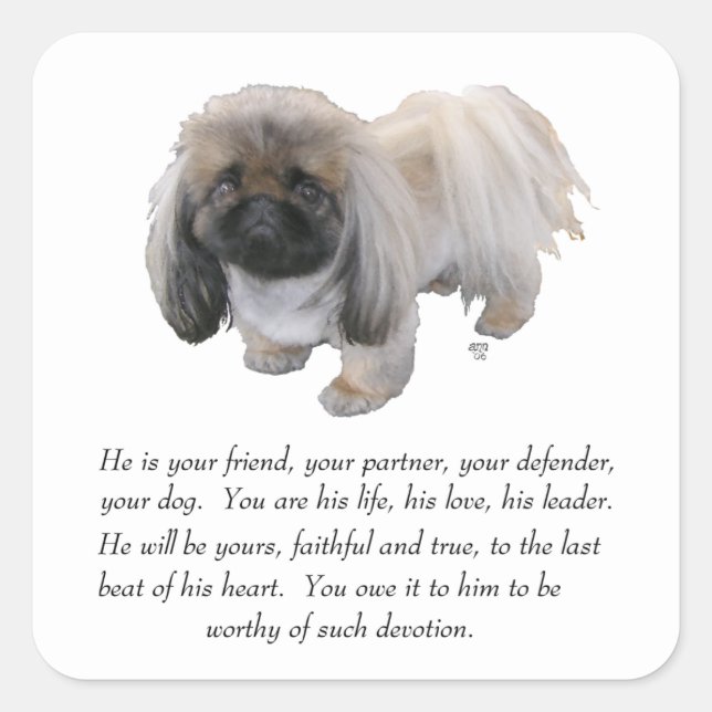 Pekingese Keepsake - MALE Square Sticker (Front)