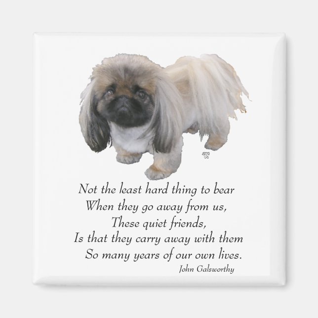 Pekingese Magnet (Front)