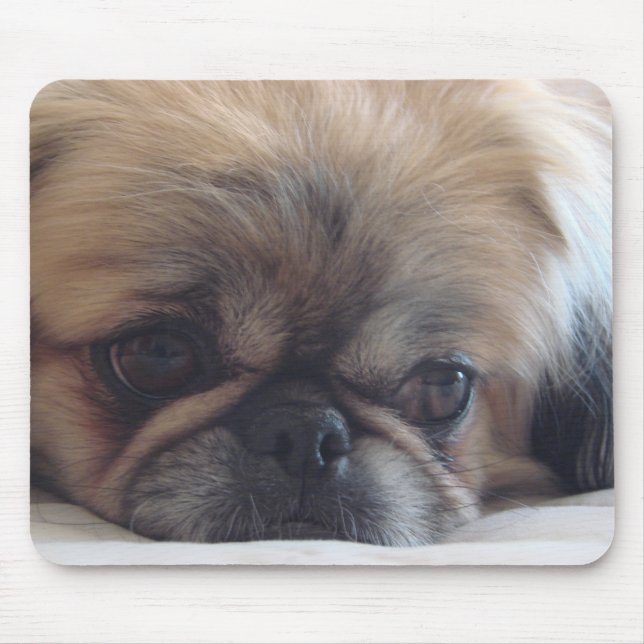 Pekingese Mouse Pad (Front)