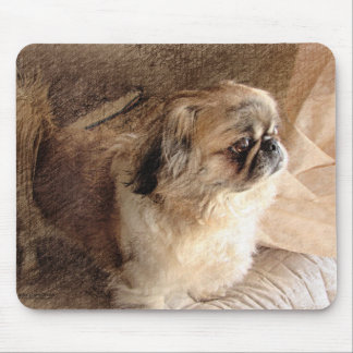 Pekingese Mouse Pad