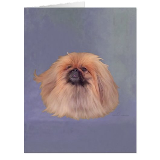 Pekingese on Blue Cards (Front)