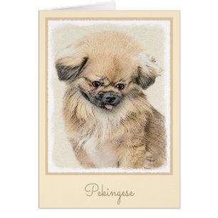 Pekingese Painting - Cute Original Dog Art Cards
