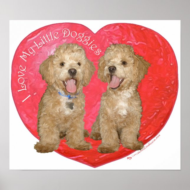 Pekingese / Poodle Mix Valentine's Day Poster (Front)