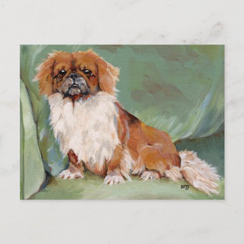 Pekingese  postcard