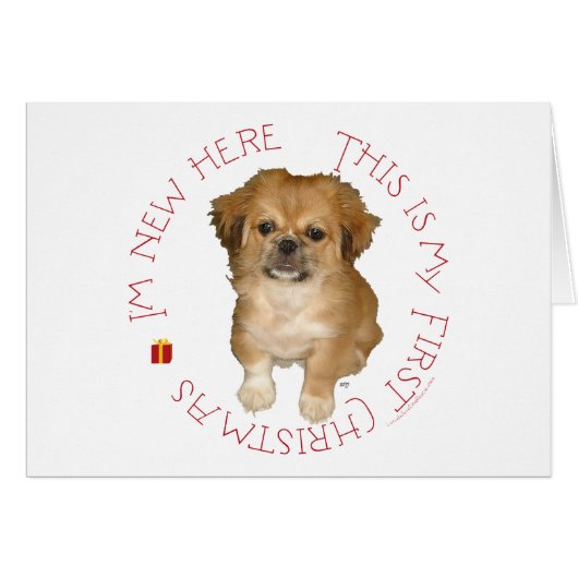 Pekingese Pup First Christmas Cards (Front Horizontal)