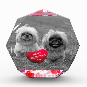 Pekingese Puppies wishing Happy Valentine's Day Acrylic Award