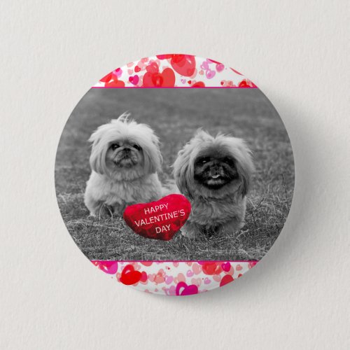 Pekingese Puppies wishing Happy Valentines Day Button