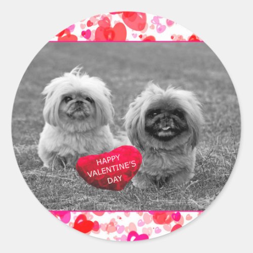 Pekingese Puppies wishing Happy Valentines Day Classic Round Sticker