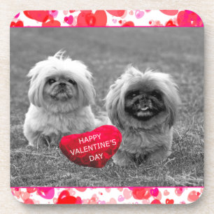 Pekingese Puppies wishing Happy Valentine's Day Coaster