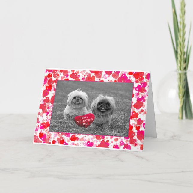Pekingese Puppies wishing Happy Valentine's Day Holiday Card (Front)