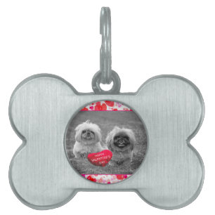 Pekingese Puppies wishing Happy Valentine's Day Pet Tag