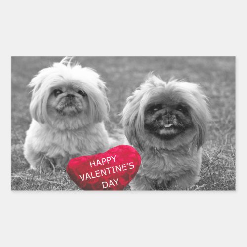 Pekingese Puppies wishing Happy Valentines Day Rectangular Sticker