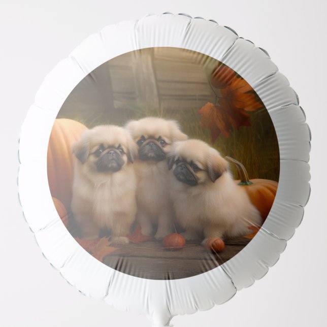 Pekingese Puppy Autumn Delight Pumpkin  Balloon (Front)
