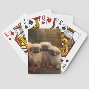 Pekingese Puppy Autumn Delight Pumpkin Poker Cards