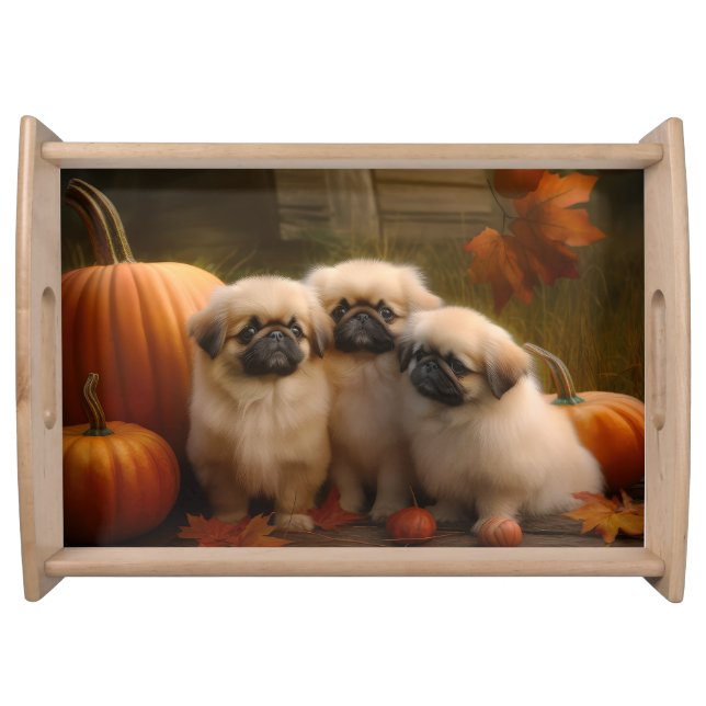 Pekingese Puppy Autumn Delight Pumpkin  Serving Tray (Front)