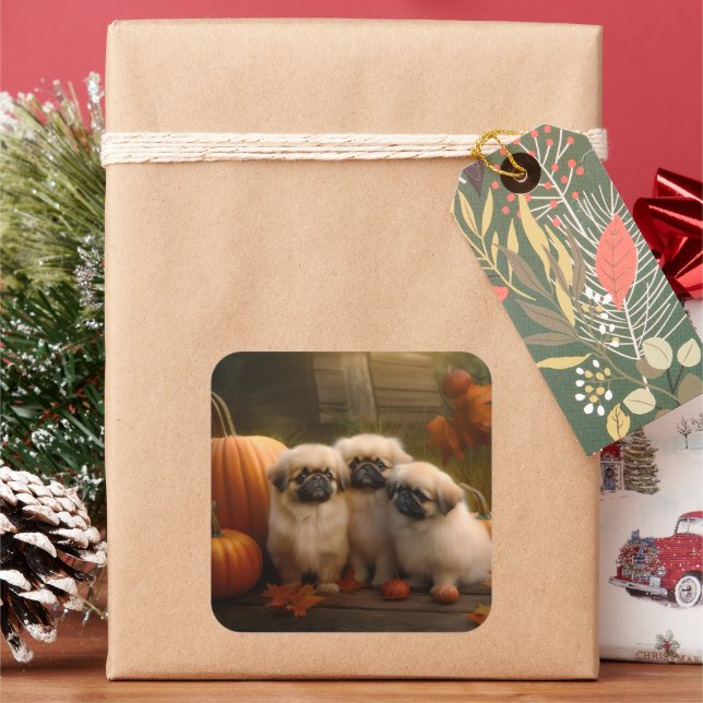 Pekingese Puppy Autumn Delight Pumpkin  Square Sticker (Holiday)